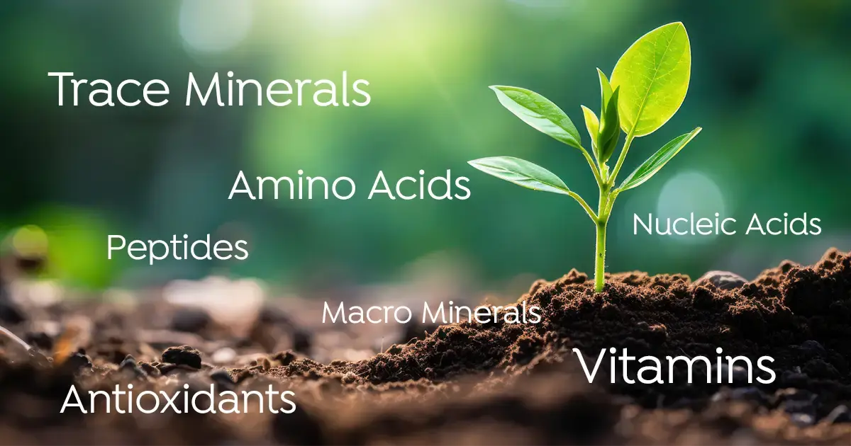 A Complete Guide to Fulvic Minerals, Benefits, and Uses